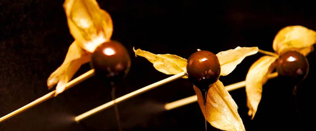 Artfood Traiteur